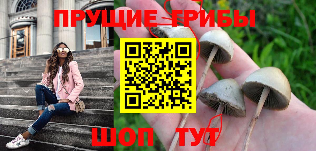 Галлюциногенные грибы прущие грибы Кудрово