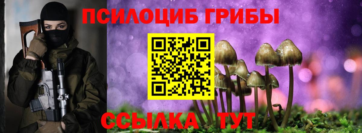 Кудрово  Псилоцибиновые грибы MAGIC MUSHROOMS  Вход с VPN 