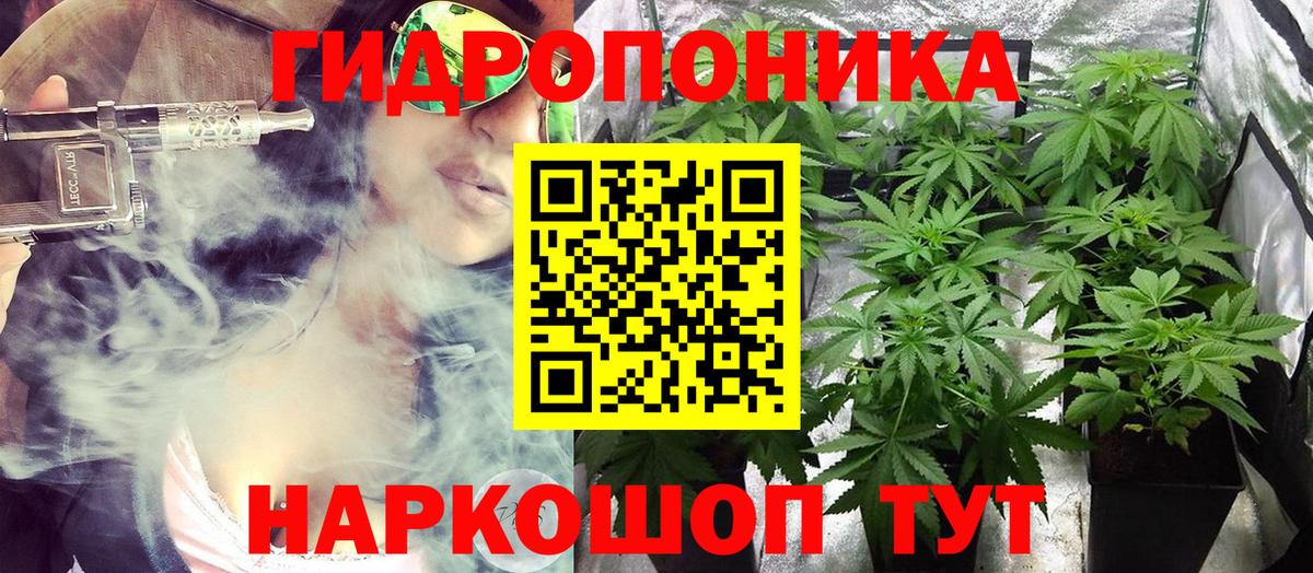 Кудрово  Канабис индика  Каннабис планчик  Шишки марихуана LSD WEED  МАРИХУАНА гибрид  Вход с VPN 